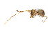  ( - CBG-A18345-H04)  @11 [ ] CreativeCommons - Attribution (2023) CBG Photography Group Centre for Biodiversity Genomics
