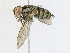  ( - CBG-A18346-A01)  @11 [ ] CreativeCommons - Attribution Share-Alike (2023) CBG Photography Group Centre for Biodiversity Genomics