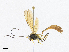  ( - CBG-A18346-H02)  @11 [ ] CreativeCommons - Attribution Share-Alike (2023) CBG Photography Group Centre for Biodiversity Genomics