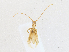  ( - CBG-A18347-B03)  @11 [ ] CreativeCommons - Attribution Share-Alike (2023) CBG Photography Group Centre for Biodiversity Genomics