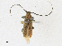  ( - CBG-A18347-C11)  @11 [ ] CreativeCommons - Attribution Share-Alike (2023) CBG Photography Group Centre for Biodiversity Genomics