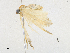  ( - CBG-A18347-F01)  @11 [ ] CreativeCommons - Attribution Share-Alike (2023) CBG Photography Group Centre for Biodiversity Genomics