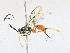  ( - CBG-A18347-G02)  @11 [ ] CreativeCommons - Attribution Share-Alike (2023) CBG Photography Group Centre for Biodiversity Genomics