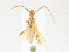  ( - CBG-A18347-G10)  @11 [ ] CreativeCommons - Attribution Share-Alike (2023) CBG Photography Group Centre for Biodiversity Genomics