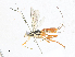  ( - CBG-A18347-H08)  @11 [ ] CreativeCommons - Attribution Share-Alike (2023) CBG Photography Group Centre for Biodiversity Genomics