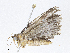  ( - CBG-A05431-F08)  @11 [ ] CreativeCommons - Attribution (2023) CBG Photography Group Centre for Biodiversity Genomics