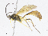 ( - CBG-A05432-F03)  @11 [ ] CreativeCommons - Attribution (2023) CBG Photography Group Centre for Biodiversity Genomics