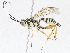  ( - CBG-A05432-F06)  @11 [ ] CreativeCommons - Attribution (2023) CBG Photography Group Centre for Biodiversity Genomics