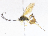  ( - CBG-A05432-G02)  @11 [ ] CreativeCommons - Attribution (2023) CBG Photography Group Centre for Biodiversity Genomics