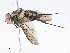  ( - CBG-A06219-F05)  @11 [ ] CreativeCommons - Attribution Share-Alike (2023) CBG Photography Group Centre for Biodiversity Genomics
