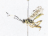  ( - CBG-A06220-B01)  @11 [ ] CreativeCommons - Attribution Share-Alike (2023) CBG Photography Group Centre for Biodiversity Genomics