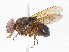  ( - CBG-A06221-B08)  @11 [ ] CreativeCommons - Attribution Share-Alike (2023) CBG Photography Group Centre for Biodiversity Genomics