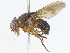  ( - CBG-A06221-C01)  @11 [ ] CreativeCommons - Attribution Share-Alike (2023) CBG Photography Group Centre for Biodiversity Genomics