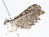  ( - CBG-A06221-E06)  @11 [ ] CreativeCommons - Attribution Share-Alike (2023) CBG Photography Group Centre for Biodiversity Genomics