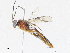  ( - CBG-A07078-F02)  @11 [ ] CreativeCommons - Attribution Share-Alike (2023) CBG Photography Group Centre for Biodiversity Genomics