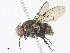  ( - CBG-A07079-B10)  @11 [ ] CreativeCommons - Attribution Share - Alike (2023) CBG Photography Group Centre for Biodiversity Genomics