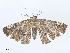  ( - CBG-A07079-C09)  @11 [ ] CreativeCommons - Attribution Share - Alike (2023) CBG Photography Group Centre for Biodiversity Genomics