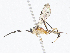  (cryptJanzen01 Malaise6388 - CBG-A07079-D07)  @11 [ ] CreativeCommons - Attribution Share - Alike (2023) CBG Photography Group Centre for Biodiversity Genomics