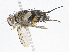  ( - CBG-A07080-A05)  @11 [ ] CreativeCommons - Attribution Share - Alike (2023) CBG Photography Group Centre for Biodiversity Genomics