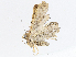  ( - CBG-A05433-F02)  @11 [ ] CreativeCommons - Attribution (2023) CBG Photography Group Centre for Biodiversity Genomics