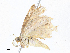  ( - CBG-A05434-A08)  @11 [ ] CreativeCommons - Attribution (2023) CBG Photography Group Centre for Biodiversity Genomics