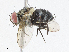  ( - CBG-A05434-F01)  @11 [ ] CreativeCommons - Attribution (2023) CBG Photography Group Centre for Biodiversity Genomics