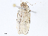  ( - CBG-A05436-E08)  @11 [ ] CreativeCommons - Attribution Share - Alike (2023) CBG Photography Group Centre for Biodiversity Genomics