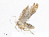  ( - CBG-A06262-C04)  @11 [ ] CreativeCommons - Attribution Share - Alike (2023) CBG Photography Group Centre for Biodiversity Genomics