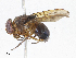 ( - CBG-A06262-D06)  @11 [ ] CreativeCommons - Attribution Share - Alike (2023) CBG Photography Group Centre for Biodiversity Genomics