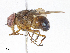  ( - CBG-A06262-D07)  @11 [ ] CreativeCommons - Attribution Share - Alike (2023) CBG Photography Group Centre for Biodiversity Genomics