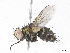  ( - CBG-A06262-E10)  @11 [ ] CreativeCommons - Attribution Share - Alike (2023) CBG Photography Group Centre for Biodiversity Genomics