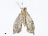  ( - CBG-A06263-C08)  @11 [ ] CreativeCommons - Attribution Share-Alike (2023) CBG Photography Group Centre for Biodiversity Genomics