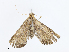  ( - CBG-A06263-D02)  @11 [ ] CreativeCommons - Attribution Share-Alike (2023) CBG Photography Group Centre for Biodiversity Genomics