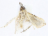  ( - CBG-A06263-E06)  @11 [ ] CreativeCommons - Attribution Share-Alike (2023) CBG Photography Group Centre for Biodiversity Genomics