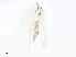  ( - CBG-A06263-F04)  @11 [ ] CreativeCommons - Attribution Share-Alike (2023) CBG Photography Group Centre for Biodiversity Genomics