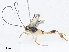 ( - CBG-A06267-C04)  @11 [ ] CreativeCommons - Attribution Share - Alike (2023) CBG Photography Group Centre for Biodiversity Genomics