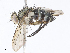  ( - CBG-A06268-E11)  @11 [ ] CreativeCommons - Attribution Share - Alike (2023) CBG Photography Group Centre for Biodiversity Genomics