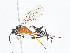  ( - CBG-A06269-A05)  @11 [ ] CreativeCommons - Attribution Share - Alike (2023) CBG Photography Group Centre for Biodiversity Genomics