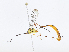  ( - CBG-A06269-E05)  @11 [ ] CreativeCommons - Attribution Share - Alike (2023) CBG Photography Group Centre for Biodiversity Genomics