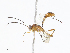  ( - CBG-A08728-A04)  @11 [ ] CreativeCommons - Attribution Share - Alike (2023) CBG Photography Group Centre for Biodiversity Genomics