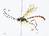  ( - CBG-A08728-C09)  @11 [ ] CreativeCommons - Attribution Share - Alike (2023) CBG Photography Group Centre for Biodiversity Genomics
