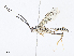  ( - CBG-A08728-C11)  @11 [ ] CreativeCommons - Attribution Share - Alike (2023) CBG Photography Group Centre for Biodiversity Genomics