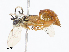  ( - CBG-A08766-A01)  @11 [ ] CreativeCommons - Attribution Share - Alike (2023) CBG Photography Group Centre for Biodiversity Genomics