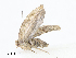  ( - CBG-A08766-A07)  @11 [ ] CreativeCommons - Attribution Share - Alike (2023) CBG Photography Group Centre for Biodiversity Genomics