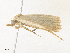  ( - CBG-A36822-G09)  @11 [ ] CreativeCommons - Attribution Share - Alike (2024) CBG Photography Group Centre for Biodiversity Genomics