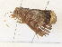 ( - CBG-A38412-A03)  @11 [ ] CreativeCommons - Attribution Share - Alike (2024) CBG Photography Group Centre for Biodiversity Genomics