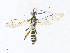  ( - CBG-A38414-E12)  @11 [ ] CreativeCommons - Attribution Share - Alike (2024) CBG Photography Group Centre for Biodiversity Genomics
