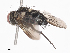  ( - CBG-A38415-D03)  @11 [ ] CreativeCommons - Attribution Share - Alike (2024) CBG Photography Group Centre for Biodiversity Genomics
