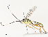  ( - CBG-A51872-A02)  @11 [ ] CreativeCommons - Attribution Share - Alike (2024) CBG Photography Group Centre for Biodiversity Genomics
