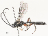  ( - CBG-A51872-B11)  @11 [ ] CreativeCommons - Attribution Share - Alike (2024) CBG Photography Group Centre for Biodiversity Genomics